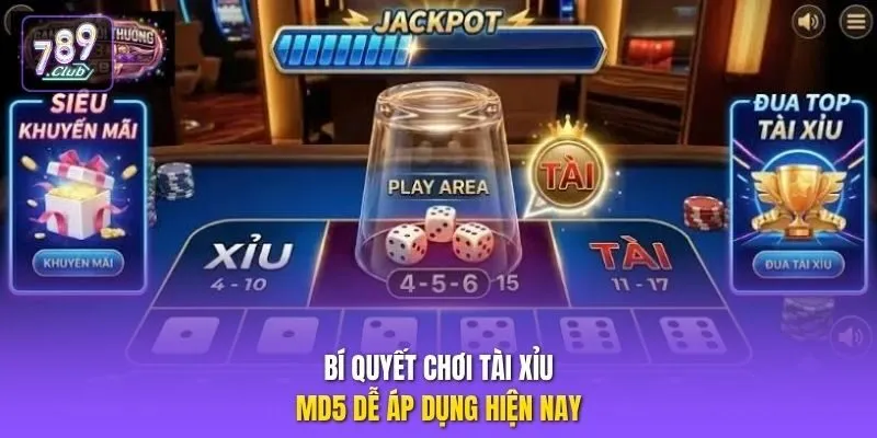 Bí quyết chơi Tài Xỉu MD5 dễ áp dụng hiện nay