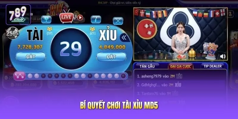 Bí quyết chơi tài xỉu MD5