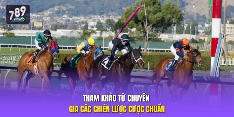 Tham khảo từ chuyên gia các chiến lược cược chuẩn